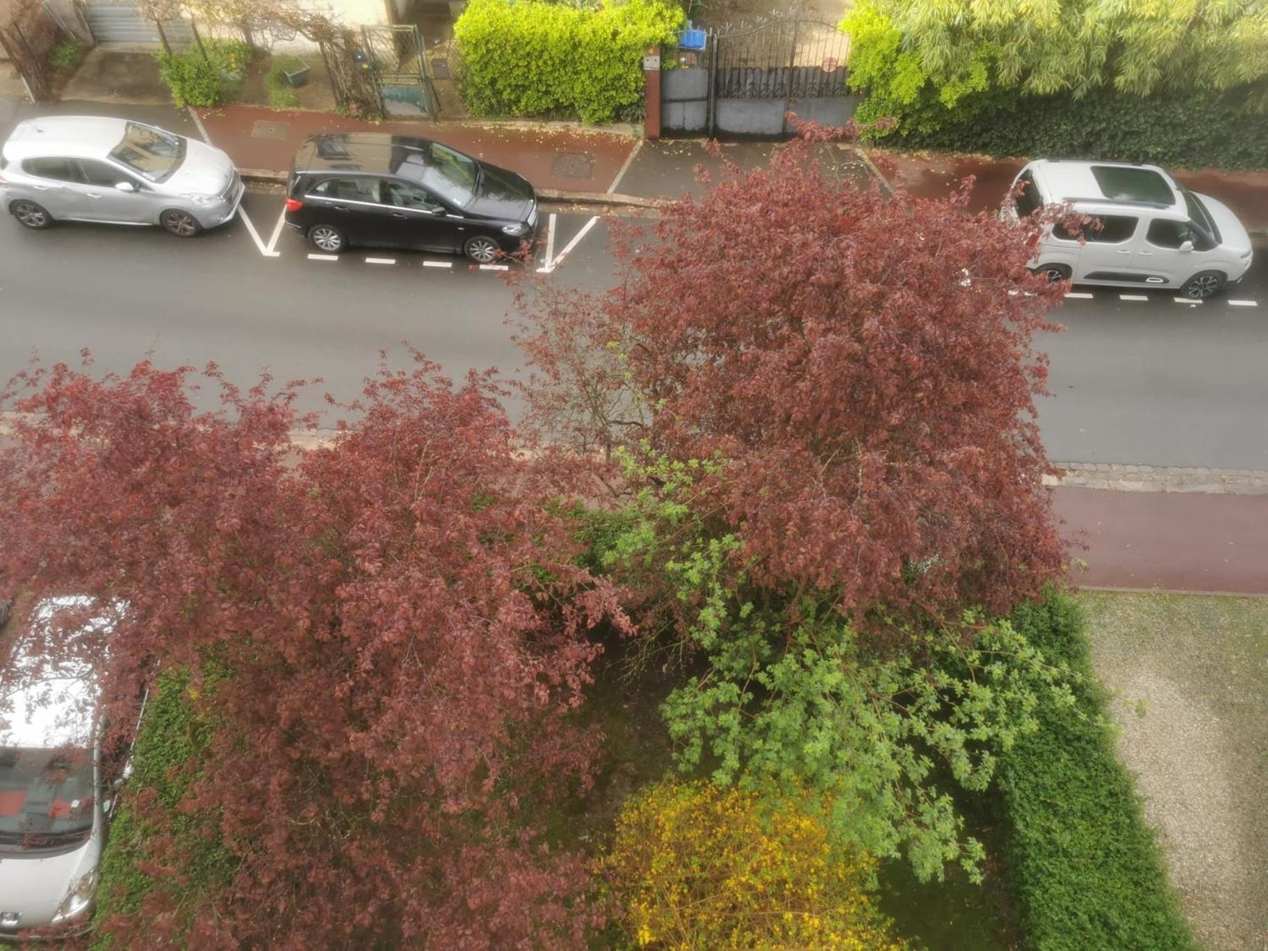 Appartement 3 Pieces A Seulement 5Km De Paris - For 2 To 7 Guests ! Fontenay-aux-Roses Zewnętrze zdjęcie